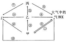 生態系統碳循環分析 光合作用、化能合成作用與海洋生物活性物質提取的關聯